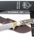 PUMA IP outdoor stag
