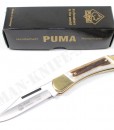 Puma Duke Stag Pocket Knife