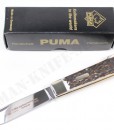 Puma Knives Jagdtaschenmesser 1 Hunting Stag Folder