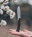 Puma “Obstler” Pistachio Wood Knife